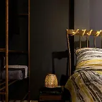 Squirrel アパート